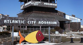 atlantic city aquarium